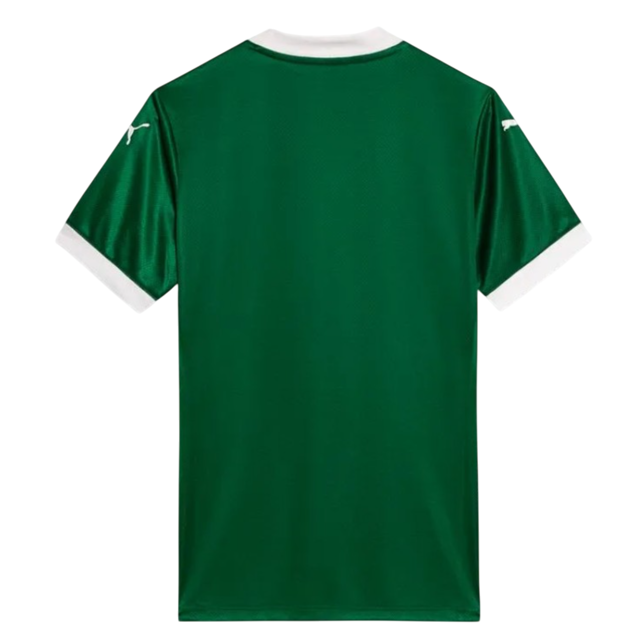 Palmeiras