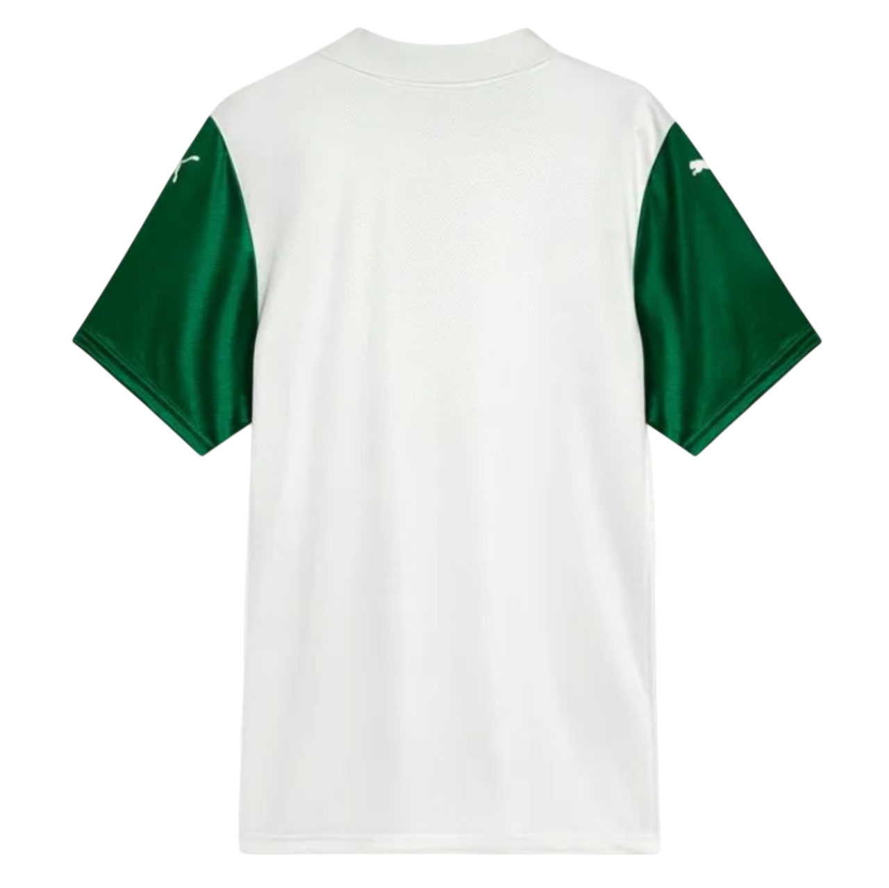 Palmeiras