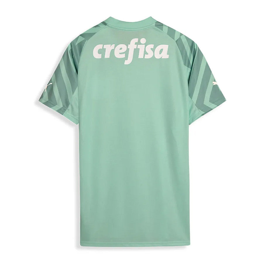 Palmeiras