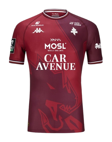 Metz 
