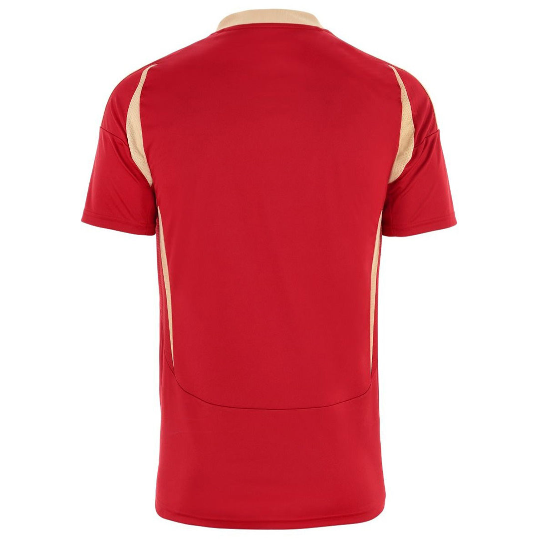 Standard de Liege