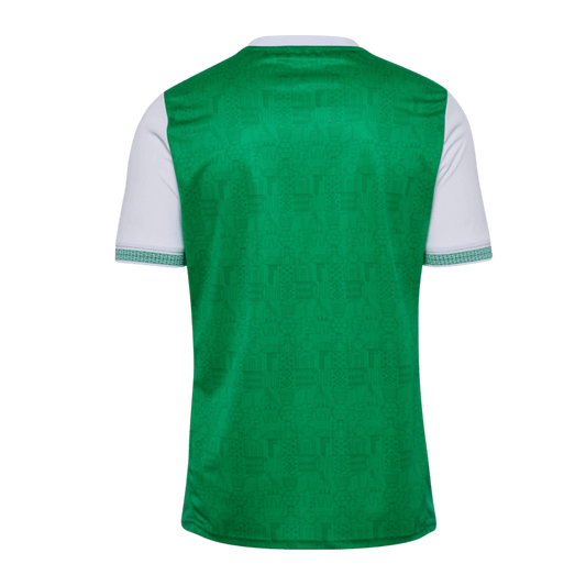 AS Saint-Etienne