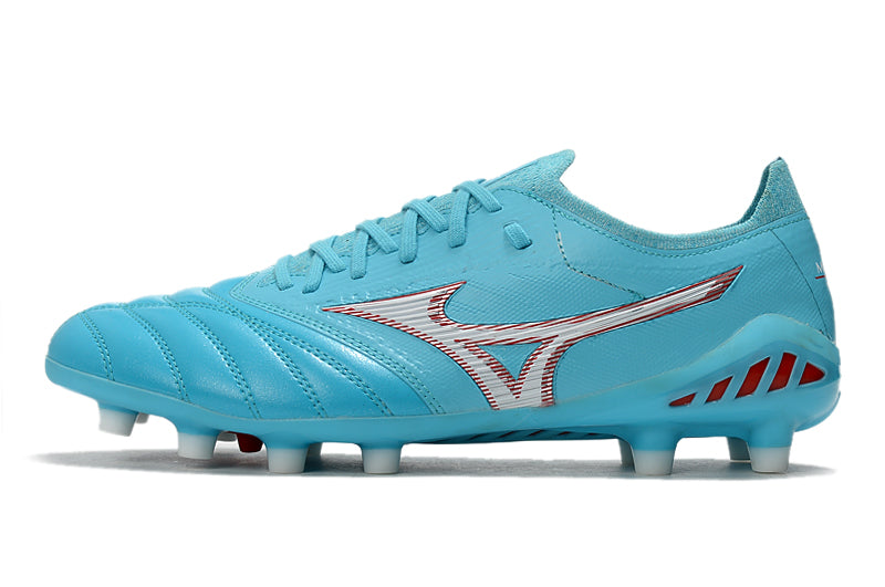 Mizuno