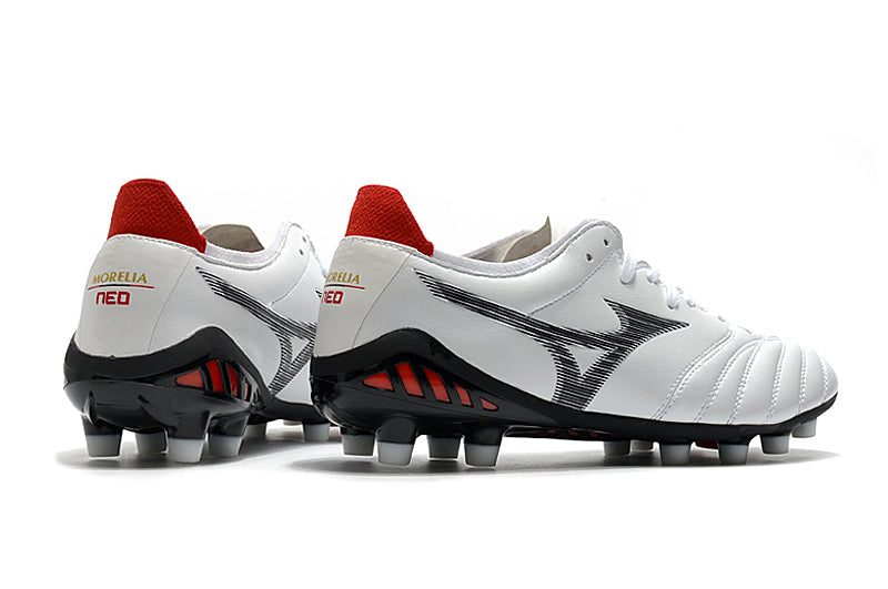 Mizuno