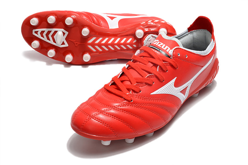 Mizuno