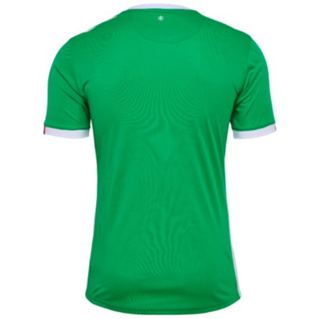 as saint etienne