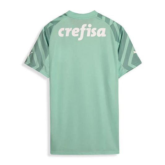 Palmeiras 