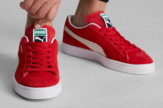 puma