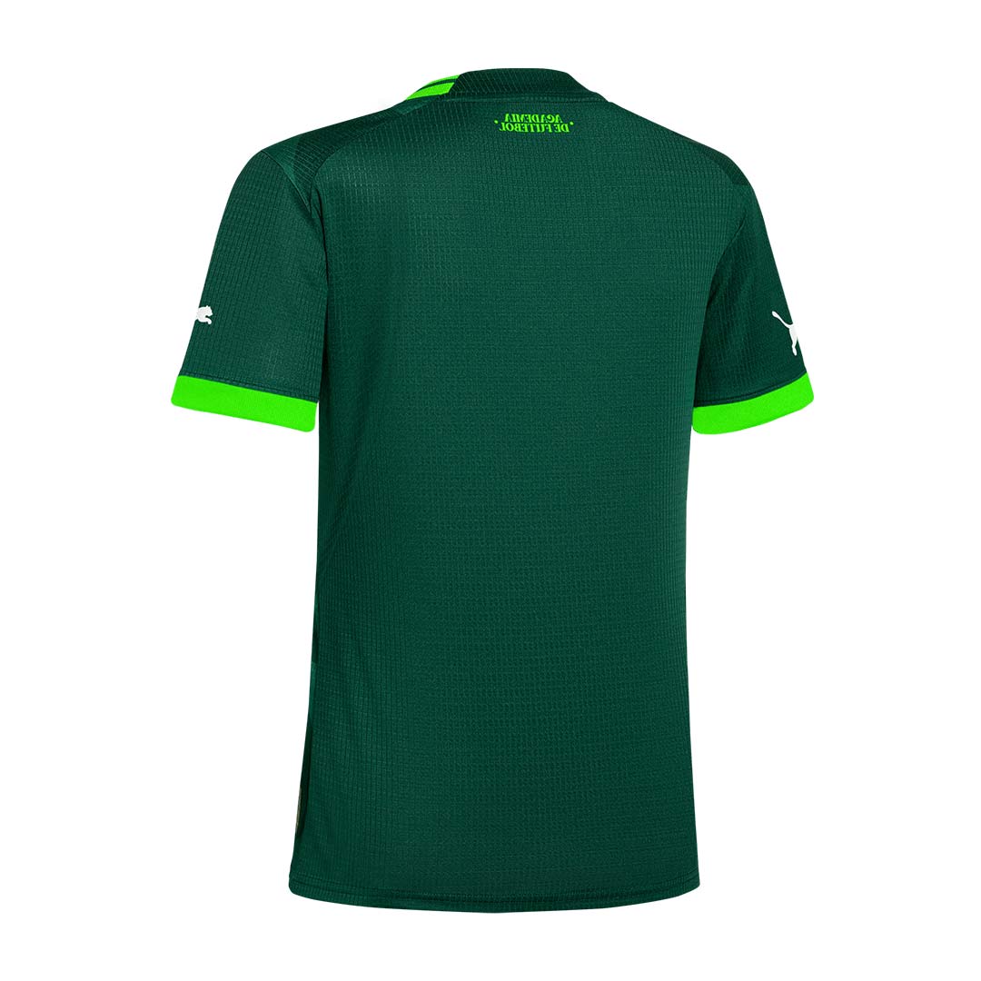 Palmeiras