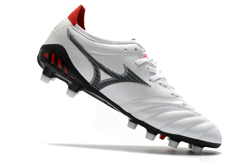 Mizuno