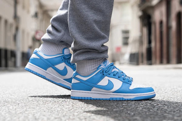 Nike SB Dunk Low